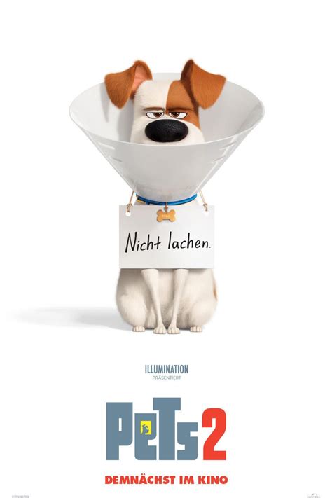 Pets 2 (2019) Film-information und Trailer | KinoCheck