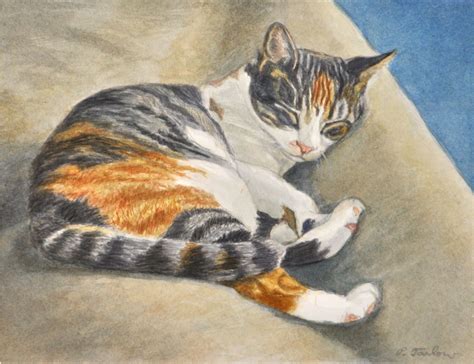 Calico Cat Art Print, Calico Tabby Cat Watercolor, Orange Calico Cat From Original Watercolor ...