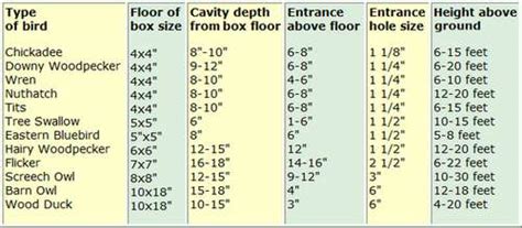 Bird House Dimensions - Build the Right Birdhouse