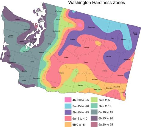 A more detailed view of the USDA's plant hardiness zones for my state, Washington. I live about ...