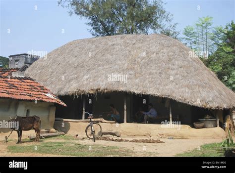 grass thatched hut in Bankuda distrct, W. Bengal Stock Photo - Alamy