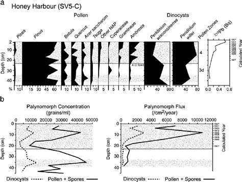 a) The increase in the relative abundance of cysts of Peridinium willei ...