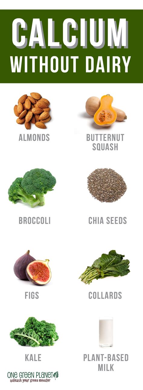 Top Dairy-Free Sources of Calcium (Infographic) | Dr. Phoenyx