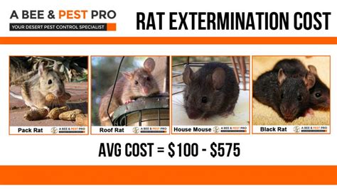 How Much Does Rat Extermination or Removal Cost From Roof 2018?