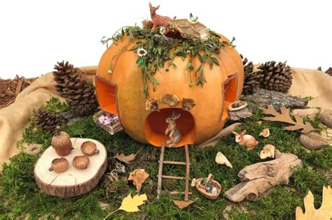 20+ Pumpkin Fairy Garden Display Ideas for Halloween