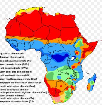 African Savanna: Lesson for Kids | Study.com