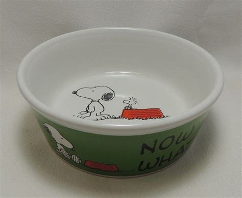 Snoopy Peanuts Dog Bowl Small 5" Charlie Brown Woodstock NOW WHAT? More ...