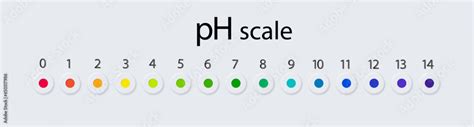 pH scale chart for acid and alkaline solutions. Acid-base balance ...