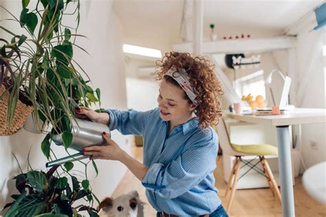 The Best Plant Delivery Services That'll Bring The Outdoors In | HuffPost Life