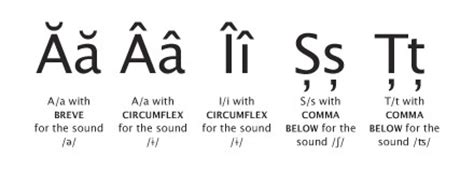 De ce nu scriu cu diacritice pe bloguri