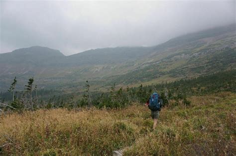 Photos of Bowman Lake Trail - Montana | AllTrails