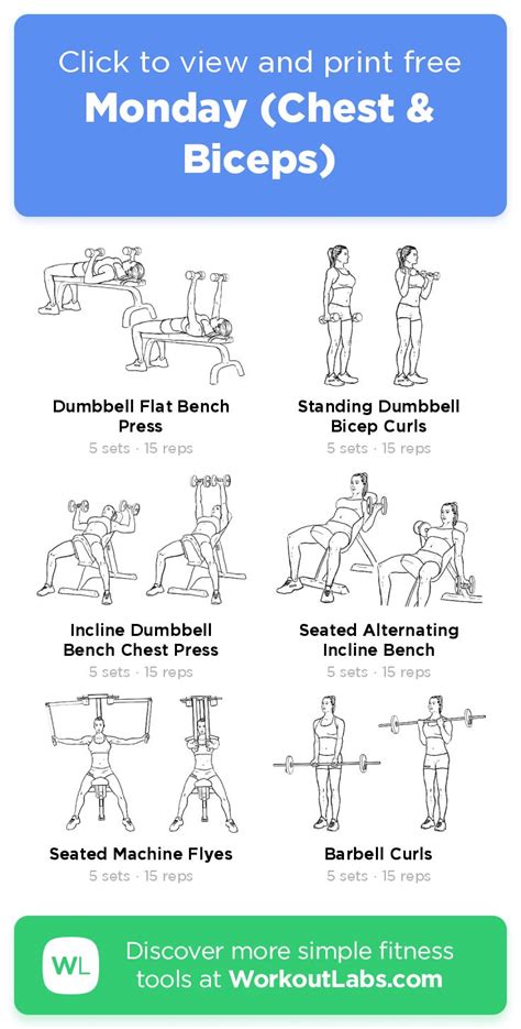 Dumbbell Exercise Chest, Biceps, Tricepts, Forearm Poster | lupon.gov.ph