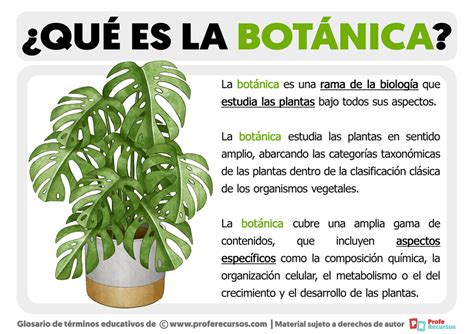 Qué es la Botánica | Definición de Botánica