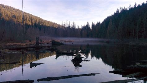 Buntzen Lake Trail Mountain Biking Trail - Anmore, BC