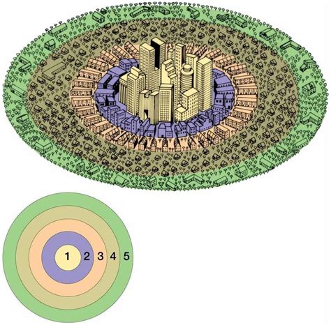 Concentric Zone Model Diagram | Quizlet