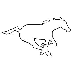 Calgary Stampeders Primary Logo | Sports Logo History