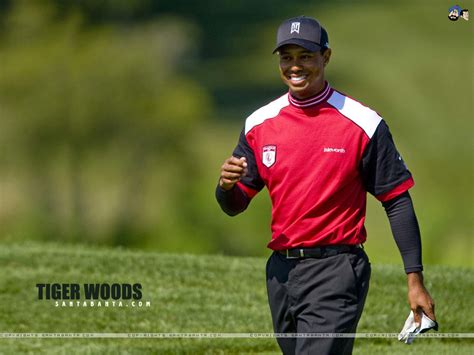 Tiger Woods images Tiger Woods HD wallpaper and background photos (8208389)