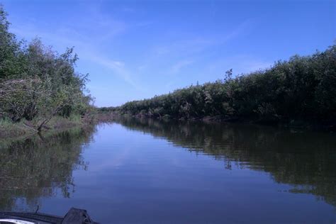 Lisel's Fabulous Arctic Adventure: Exploring the Mackenzie River Delta