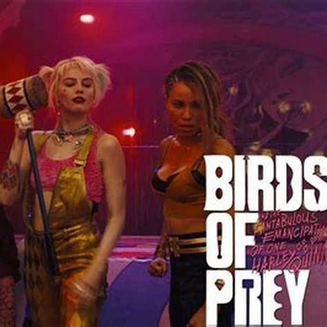 Can you watch Birds of Prey on Netflix? - DIY Seattle