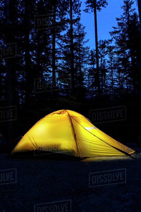 Tent in the woods at night glowing with deep dark blue sky; Lake Louise, Alberta, Canada - Stock ...