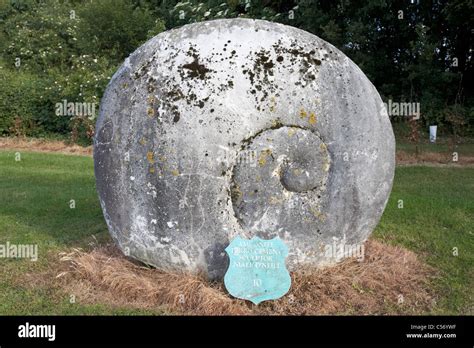 ferrocement ammonite sculpture by niall o'neill dublin airport republic of ireland europe Stock ...