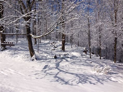 Vermont Winter Vermont Winter, Snow, Outdoor, Beautiful, Outdoors, Outdoor Games, The Great ...