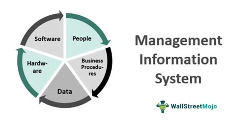 Management Information System (MIS) - Definition, Examples