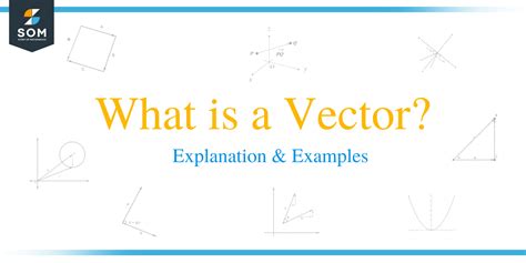 What is a Vector? Explanation (everything you need to know)