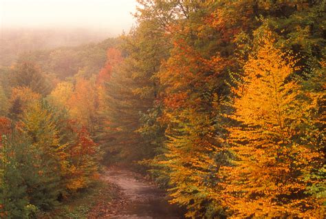 John Burk Photography | Fall Foliage Viewing in Western Massachusetts ...