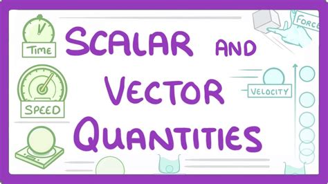 Scalar Vs Vector Quantities Worksheet