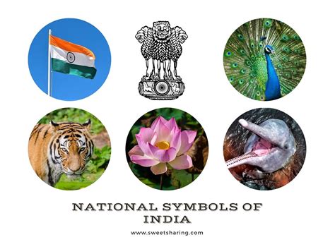 16 Must Know National Symbols Of Incredible India In 2020 Lakshadweep ...