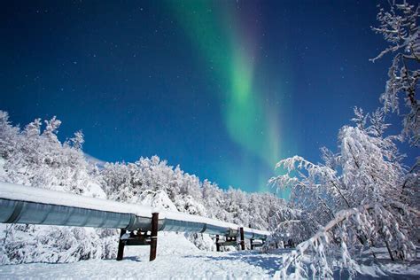 A Photo Essay: Winter in Fairbanks, Alaska | Wander The Map