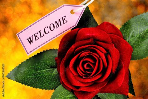 Foto Stock Welcome and red rose flower. A written message, a ritual of contact. The greeting of ...