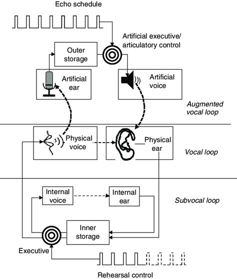 Conceptual diagram showing operation of the artificial phonological... | Download Scientific Diagram