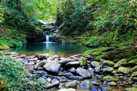 Bach Ma National Park 1 Day - Daily Trekking Tour from Hue