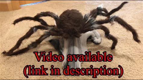 SPIRIT HALLOWEEN BROWN Jumping Spider Animatronic *VIDEO LINK IN ...