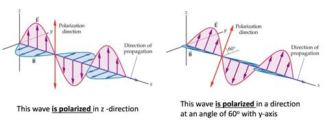 What is polarized light? | Socratic