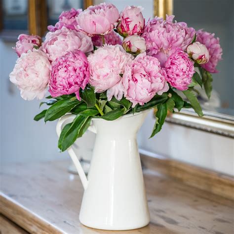 Peonies - Pink | Beautiful Sarah Bernhard Peonies by Flourish