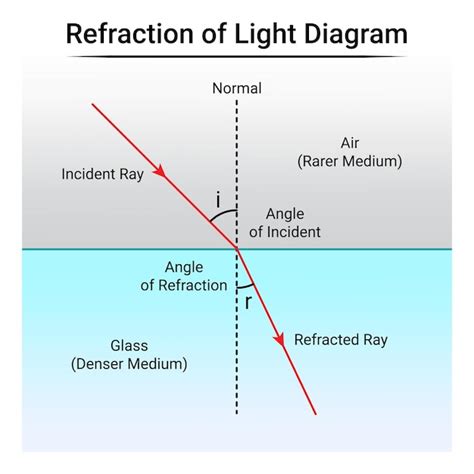 Premium Vector | Refraction of light diagram physics education science vector illustration