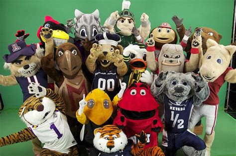 Which March Madness Mascot Are You? | Mascot, Sport mascot, March madness