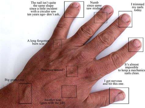 Anatomy of a Left Hand 365 Days (Year 4) #180 04/29 | Flickr