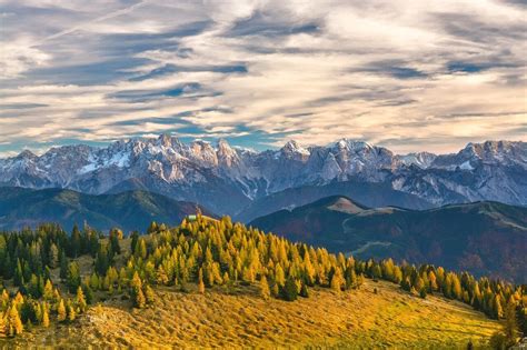 10 Most Beautiful Forests in Austria - Lets Travel More