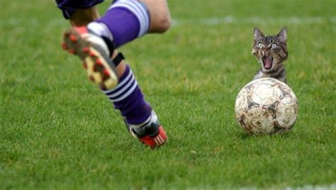 11 Lesser Known Weird Soccer/Football Rules