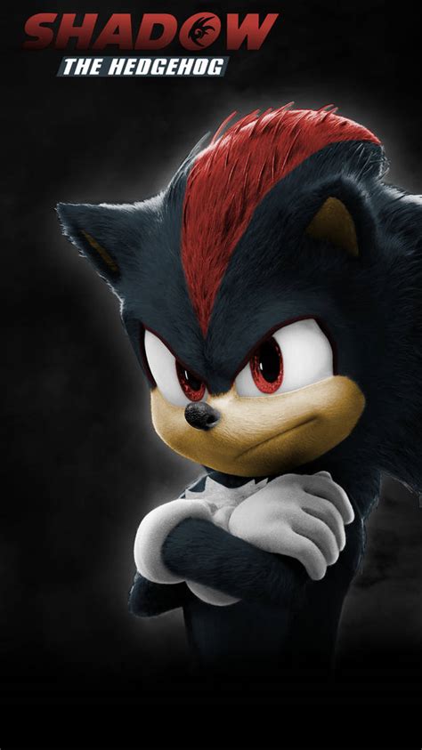 Shadow The Hedgehog Poster