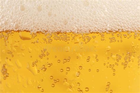 Beer glass stock photo. Image of waterdrop, bubbles, drops - 26993452