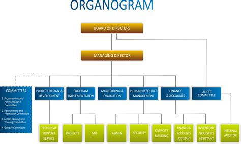 Organogram Example Org Chart Organogram Organizationa - vrogue.co