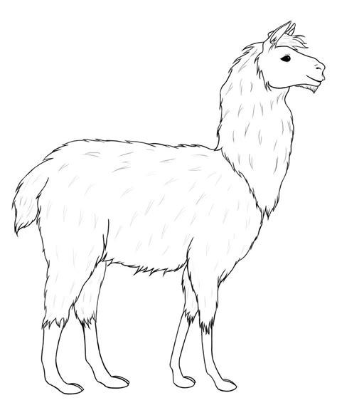 Llama lineart by Morgensterna on DeviantArt