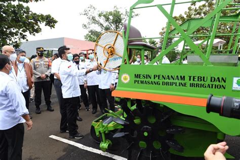 Food Estate Wujudkan Modernisasi Pertanian - PORTONEWS