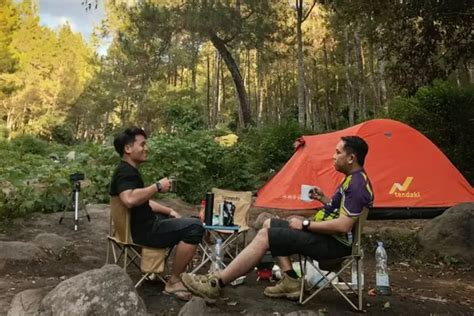 Bumi Perkemahan Bedengan Malang, Sensasi Berkemah di Tengah Hutan Pinus ...