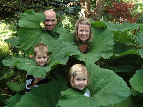 BRENDENS Garden Center: "Man - Eating" Plant Sighting...